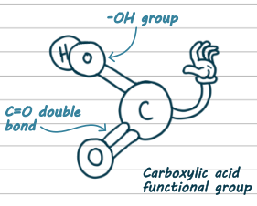 3D drawing of a hydrocarbon. It has a carbon atom in the middle. It has an OH group sticking off and labelled. It has an O atom, with a double tube going to it labelled 'C=O double bond'. It also has a cartoon grabby hand.